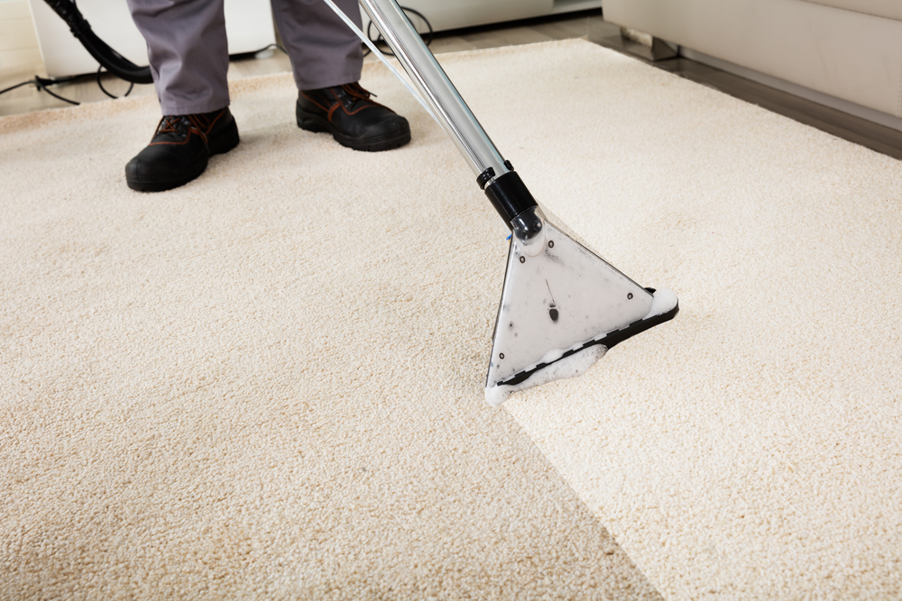 7 Signs To Replace Your Carpet