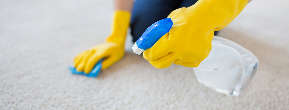 Person cleaning carpet with spray bottle
