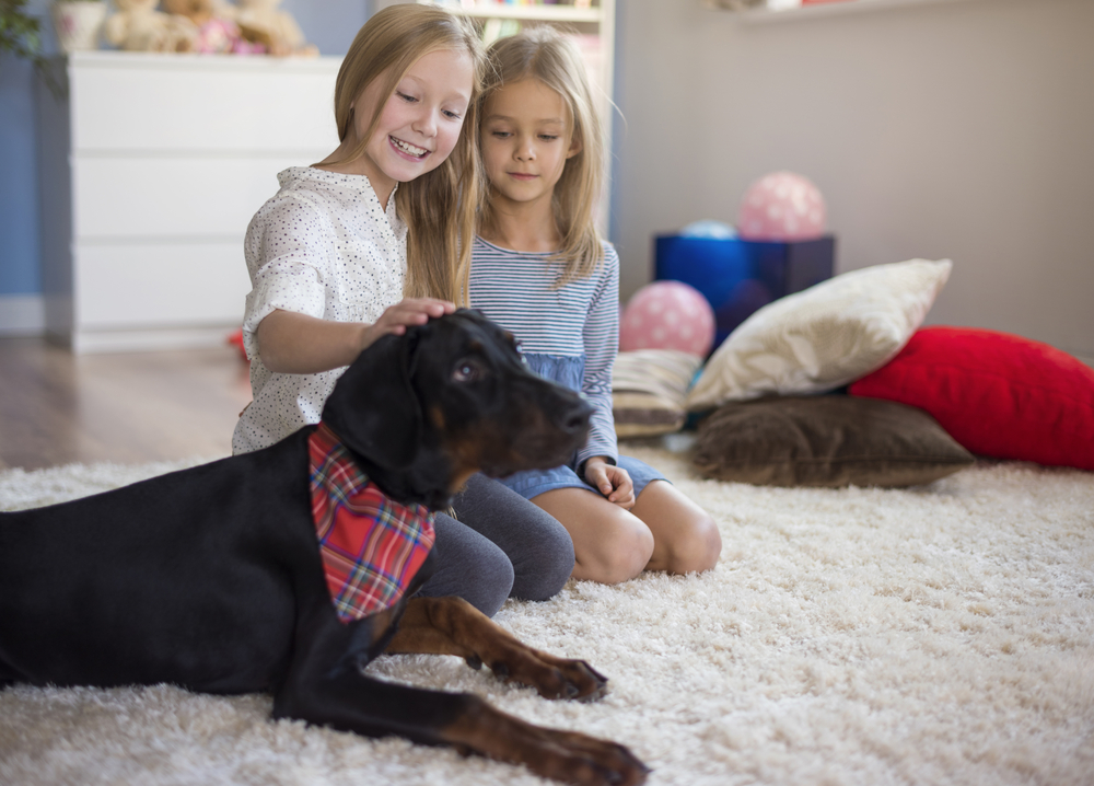 Kids with a dog on an area rug