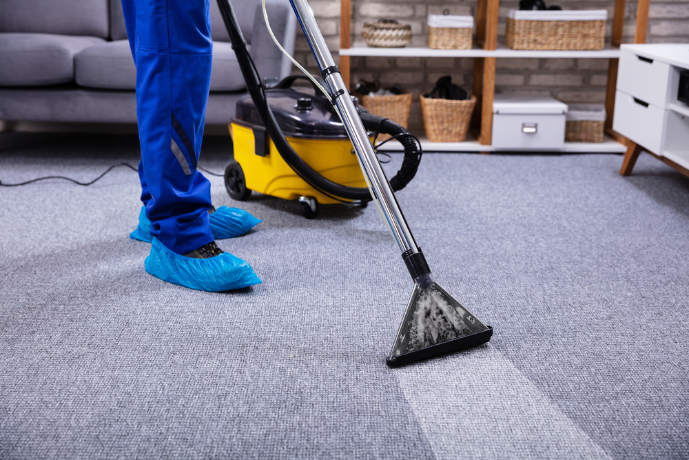 a professional carpet cleaner cleaning a carpet