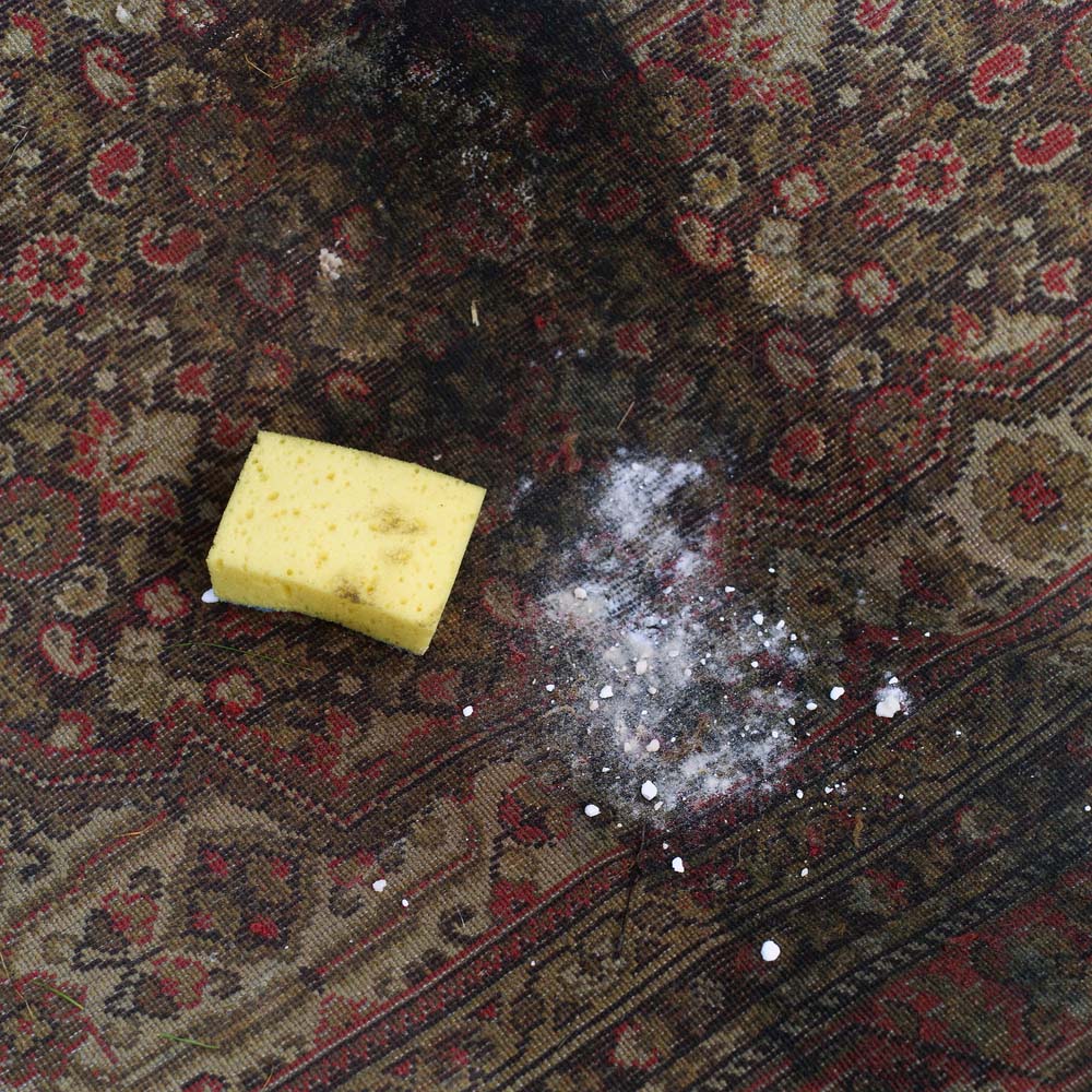 A close-up of a carpet with baking soda applied and a yellow sponge beside it.