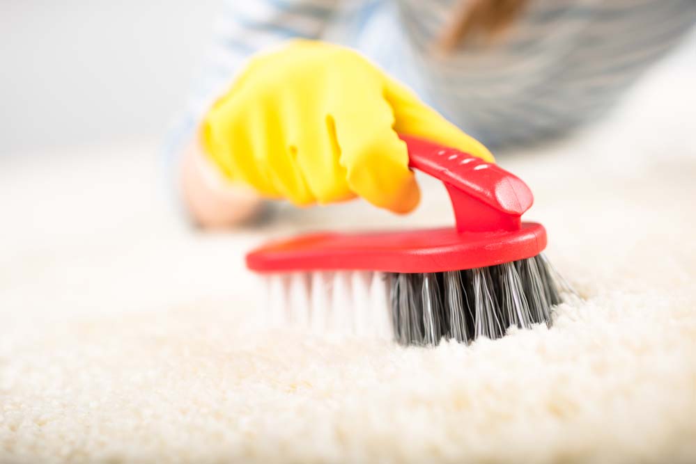 A hand wearing a yellow rubber glove uses a red brush to clean a carpet. 