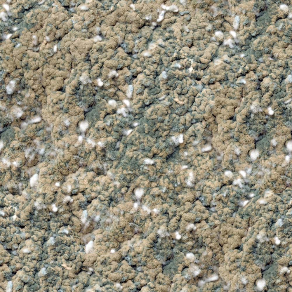 Close-up view of white and green spots on beige carpet fibers.